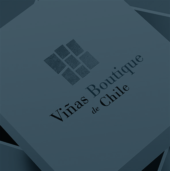 Construcción de marca