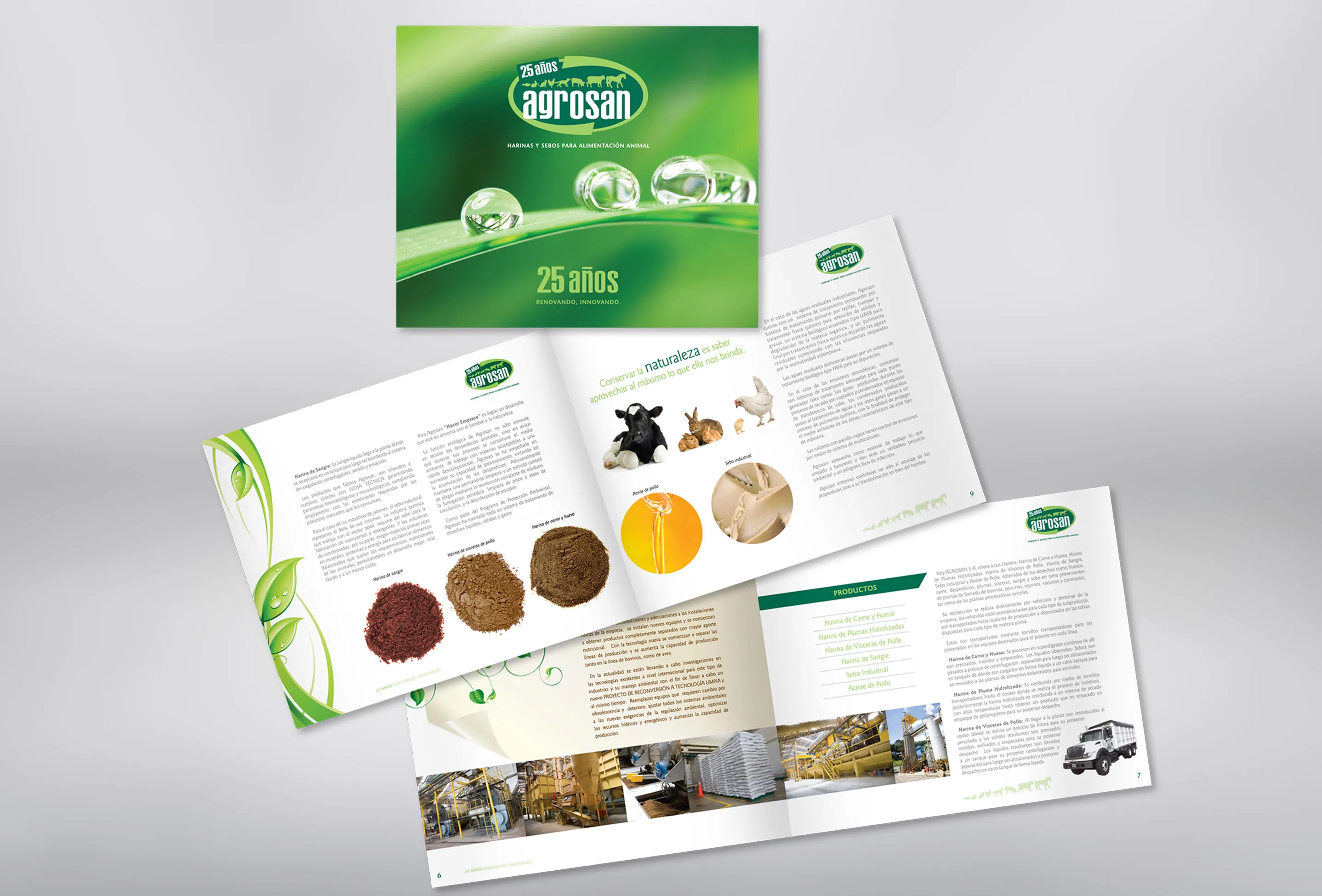 Diseño Editorial - Imagen 3